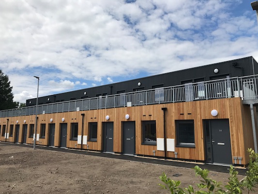 Siberian Larch cladding